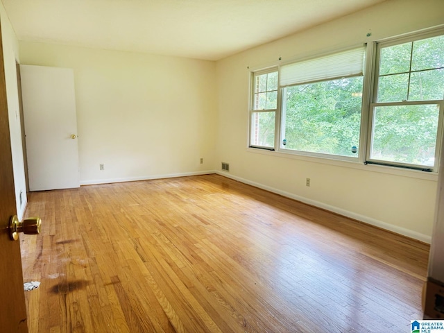 1315 Gloria Ln, Weaver, AL 36277 - spare room with light wood-type flooring and baseboards