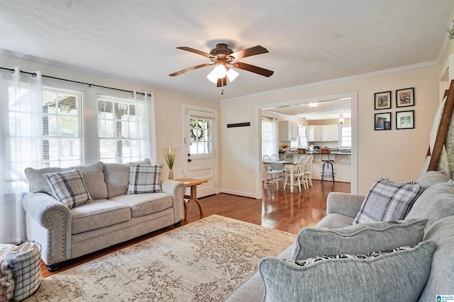 1693 4th Ave N, Clanton, AL 35045 - living area with a ceiling fan, plenty of natural light, wood finished floors, crown molding, and baseboards