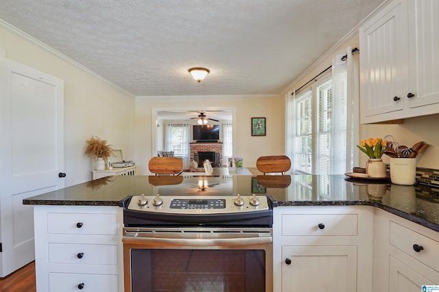 1693 4th Ave N, Clanton, AL 35045 - kitchen with stainless steel range with electric stovetop, a fireplace, white cabinetry, ceiling fan, and crown molding