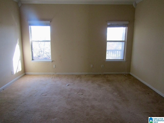 221 High Ridge Dr, Pelham, AL 35124 - empty room featuring crown molding, plenty of natural light, carpet floors, and baseboards