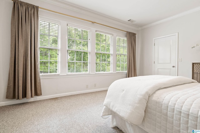 1033 Inverness Cove Way, Hoover, AL 35242 - carpeted bedroom with multiple windows, crown molding, and baseboards