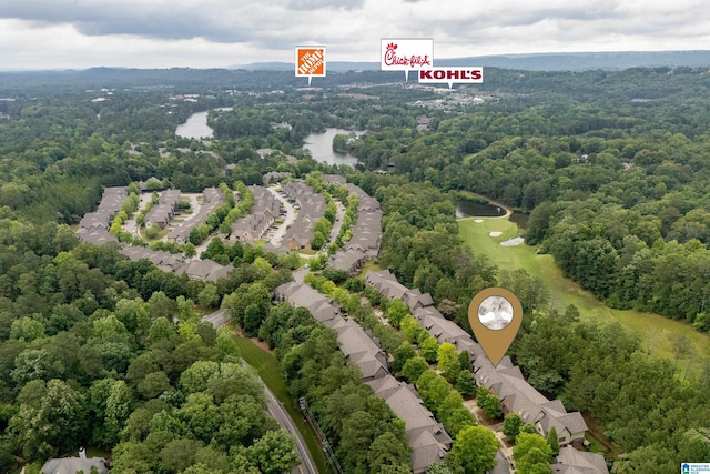 1033 Inverness Cove Way, Hoover, AL 35242 - aerial view of a forest and a large body of water
