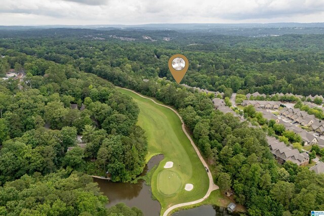 1033 Inverness Cove Way, Hoover, AL 35242 - view of property location featuring a golf course, a forest, and a large body of water