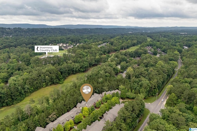 1033 Inverness Cove Way, Hoover, AL 35242 - drone / aerial view of a forest and a mountainous background