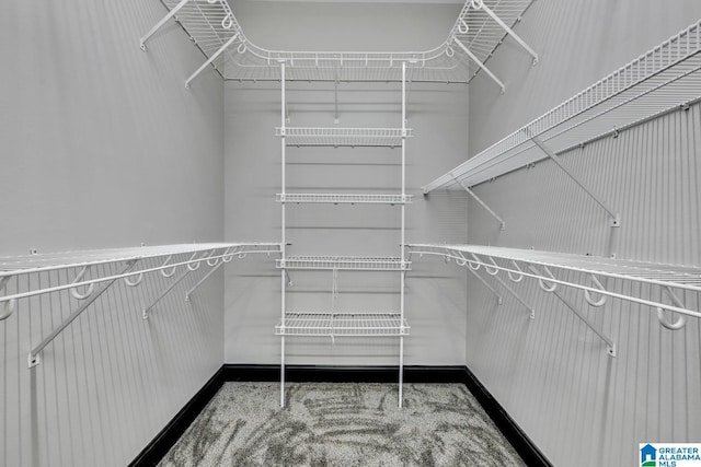 1700 Leisure Ln NW, Cullman, AL 35055 - view of walk in closet