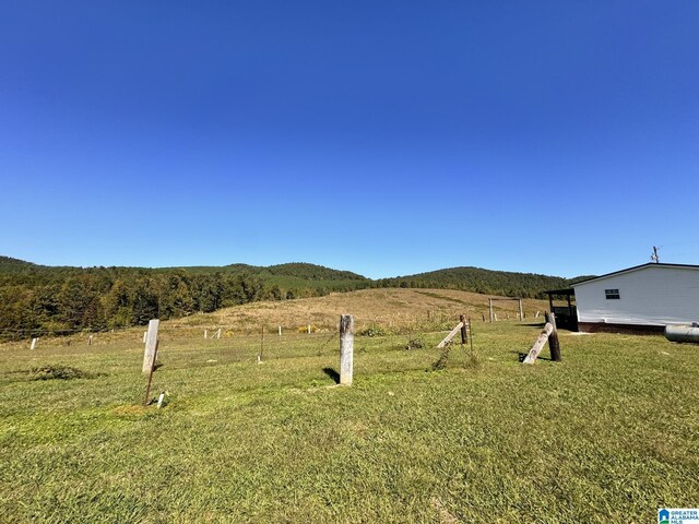 11791 Shoal Creek Dr, Ashville, AL 35953 - view of yard featuring a rural view and a mountain view