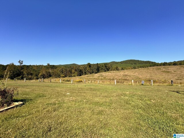 11791 Shoal Creek Dr, Ashville, AL 35953 - view of yard with a rural view