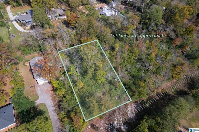 2137 Tyler Ln, Hoover, AL 35226 - aerial view of property's location featuring property boundaries highlighted