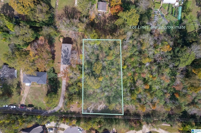2137 Tyler Ln, Hoover, AL 35226 - view of property location featuring property boundaries highlighted