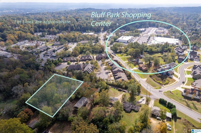 2137 Tyler Ln, Hoover, AL 35226 - aerial view of property's location featuring property boundaries highlighted and a heavily wooded area
