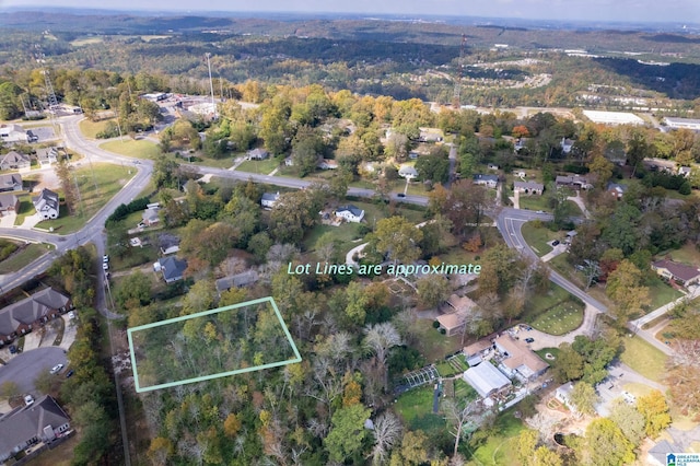 2137 Tyler Ln, Hoover, AL 35226 - view of property location with property boundaries highlighted and a heavily wooded area