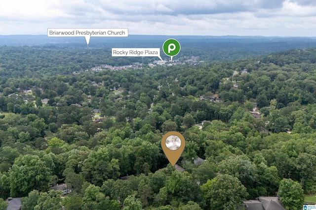 1355 Starcross Dr, Vestavia Hills, AL 35216 - bird's eye view of a heavily wooded area