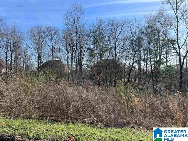 1 Summit Ridge Way Unit 76, Argo, AL 35120