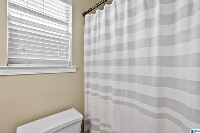 246 Park Place Way, Alabaster, AL 35007 - full bath featuring toilet and a shower with shower curtain