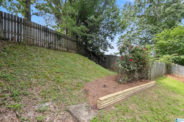 246 Park Place Way, Alabaster, AL 35007 - view of yard