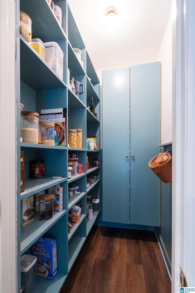 3504 William And Mary Rd, Hoover, AL 35216 - view of pantry