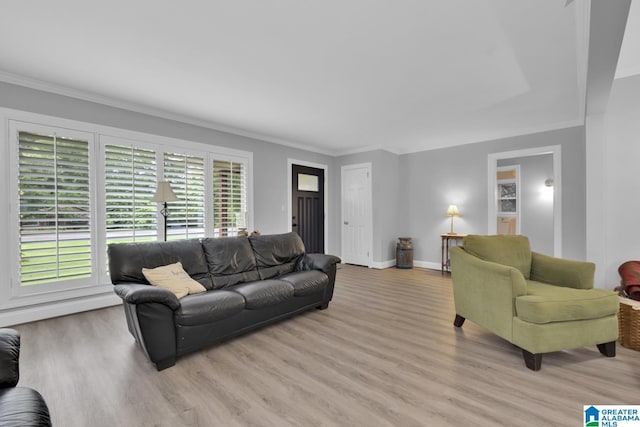 2028 Moncrief Rd, Gardendale, AL 35071 - living room with light wood-style flooring, ornamental molding, and baseboards