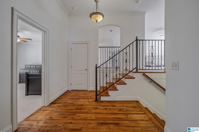 386 N Lake Rd, Birmingham, AL 35242 - staircase with a ceiling fan, wood finished floors, ornamental molding, arched walkways, and baseboards