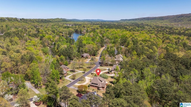 386 N Lake Rd, Birmingham, AL 35242 - aerial view of property's location featuring a forest and a large body of water