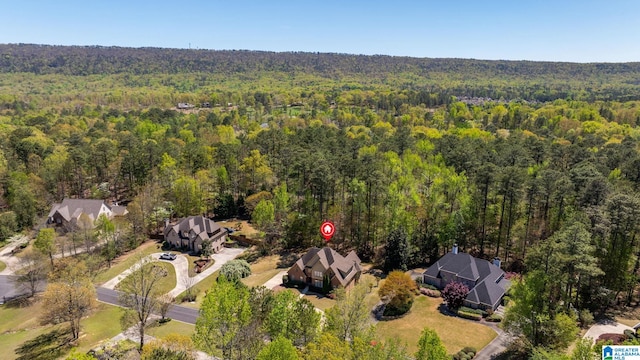 386 N Lake Rd, Birmingham, AL 35242 - bird's eye view of a heavily wooded area