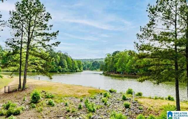 386 N Lake Rd, Birmingham, AL 35242 - water view with a forest