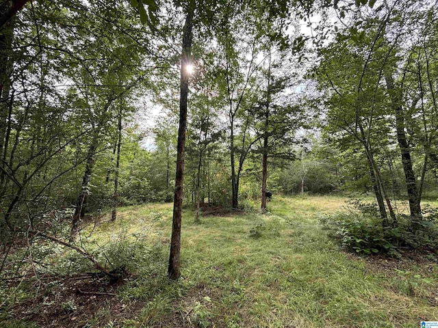 0 Bright Star Rd Unit 123/-, Acres, Horton, AL 35980