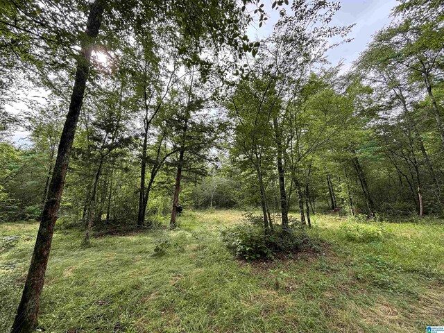 0 Bright Star Rd Unit 123/-, Acres, Horton, AL 35980