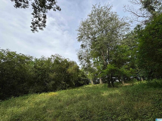 0 Bright Star Rd Unit 123/-, Acres, Horton, AL 35980
