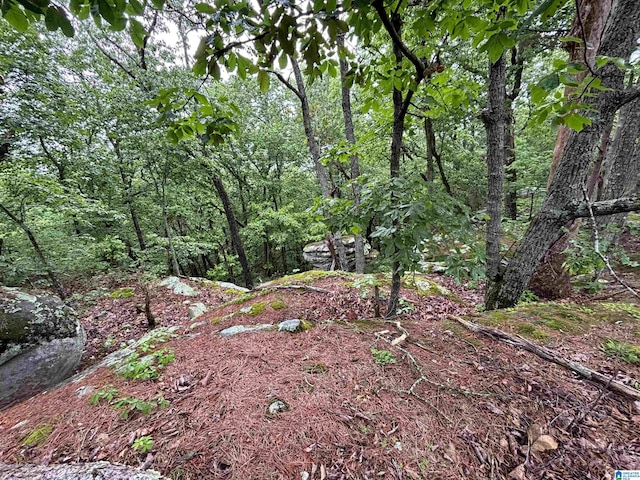 0 Bright Star Rd Unit 123/-, Acres, Horton, AL 35980