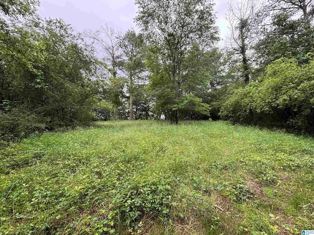 0 Bright Star Rd Unit 123/-, Acres, Horton, AL 35980
