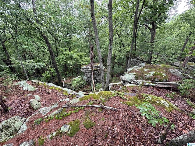 0 Bright Star Rd Unit 123/-, Acres, Horton, AL 35980