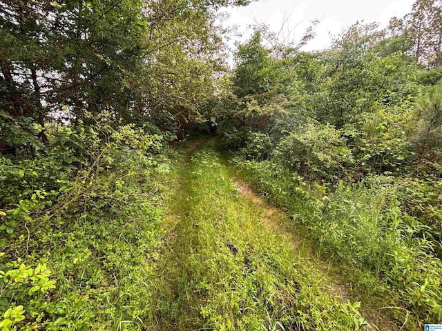 0 Bright Star Rd Unit 123/-, Acres, Horton, AL 35980