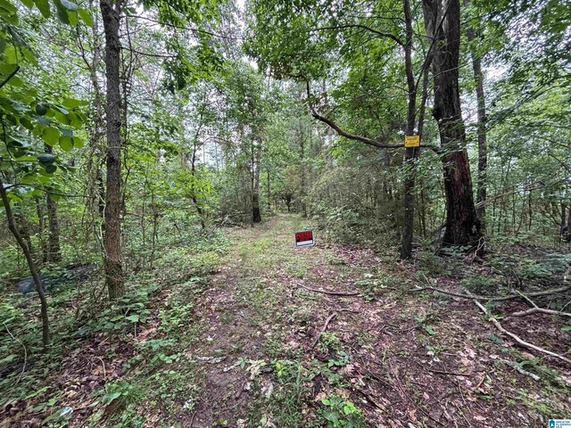 0 Bright Star Rd Unit 123/-, Acres, Horton, AL 35980