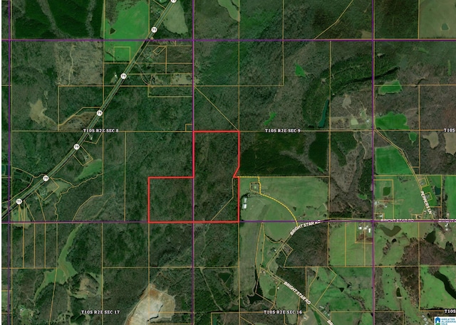 0 Bright Star Rd Unit 123/-, Acres, Horton, AL 35980