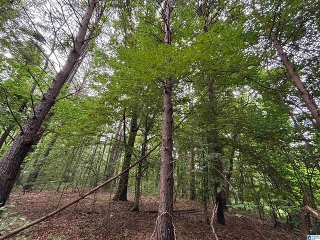 0 Bright Star Rd Unit 123/-, Acres, Horton, AL 35980