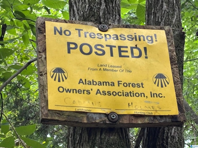 0 Bright Star Rd Unit 123/-, Acres, Horton, AL 35980