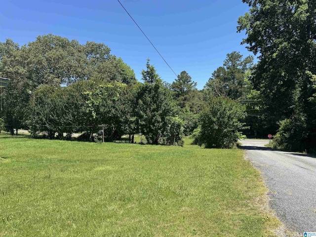 40 Sulfur Springs Rd, Springville, AL 35146 - view of asphalt road