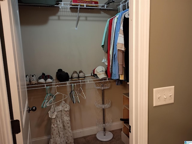 115 Clover St, Odenville, AL 35120 - view of walk in closet