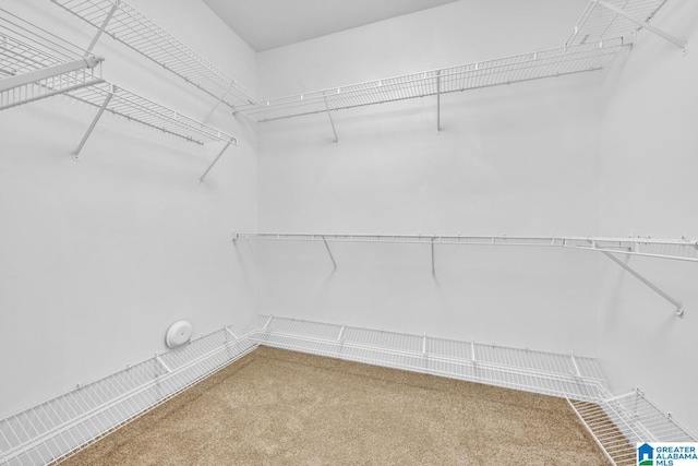 4728 Red Leaf Cir, Hoover, AL 35226 - spacious closet with carpet