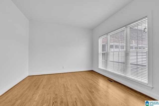 4728 Red Leaf Cir, Hoover, AL 35226 - spare room featuring light wood-type flooring and baseboards