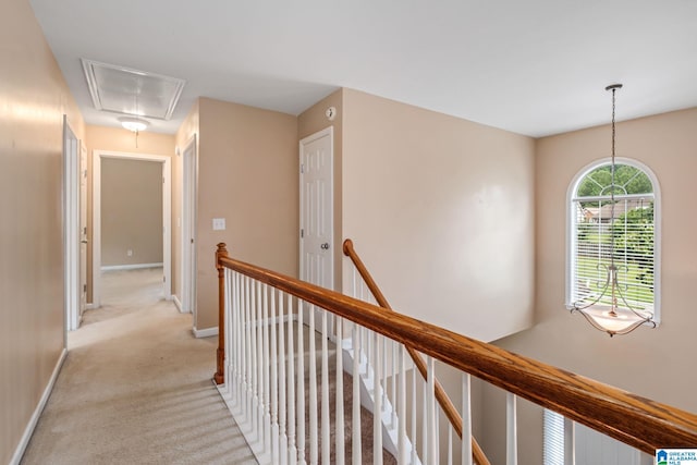 538 Forest Lakes Dr, Sterrett, AL 35147 - hall with attic access, an upstairs landing, light colored carpet, and baseboards