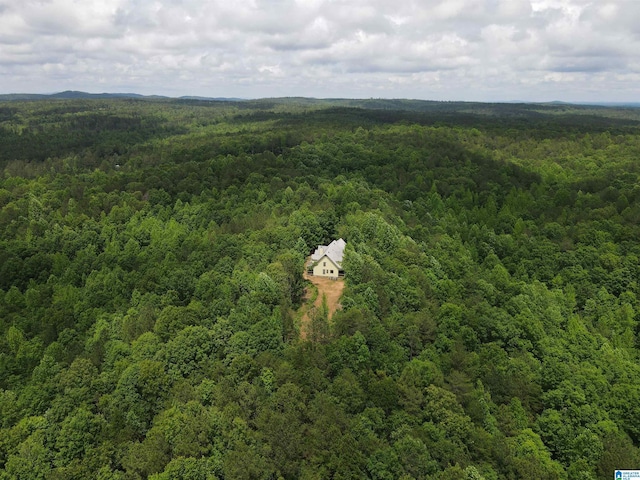 720 Good Hope Delta Rd, Delta, AL 36258 - bird's eye view of a heavily wooded area