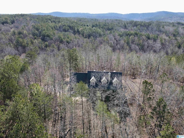 720 Good Hope Delta Rd, Delta, AL 36258 - aerial view of property and surrounding area featuring a heavily wooded area and a mountain backdrop