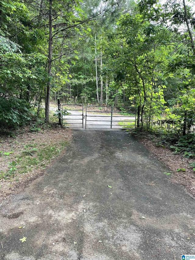 720 Good Hope Delta Rd, Delta, AL 36258 - view of street featuring a gate and a wooded view