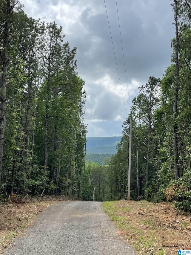 720 Good Hope Delta Rd, Delta, AL 36258 - view of street with a forest view