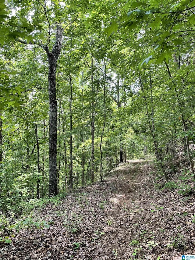 720 Good Hope Delta Rd, Delta, AL 36258 - view of wooded area