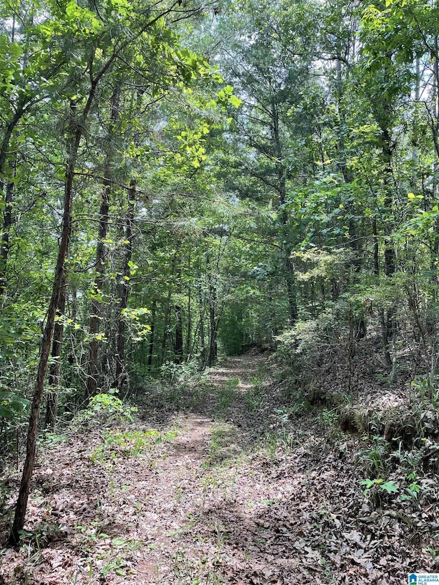 720 Good Hope Delta Rd, Delta, AL 36258 - view of woods