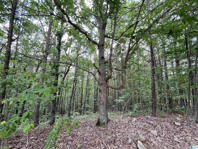 720 Good Hope Delta Rd, Delta, AL 36258 - view of wooded area
