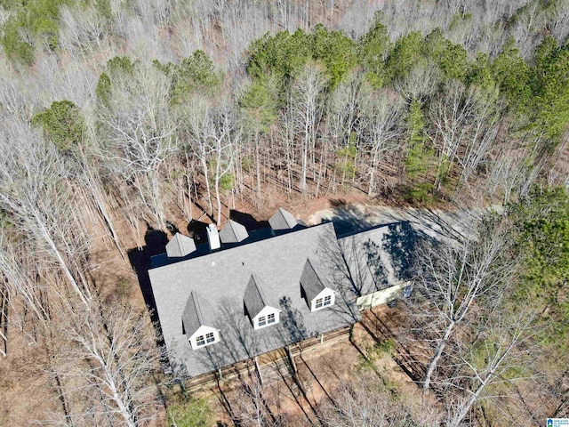 720 Good Hope Delta Rd, Delta, AL 36258 - view from above of property