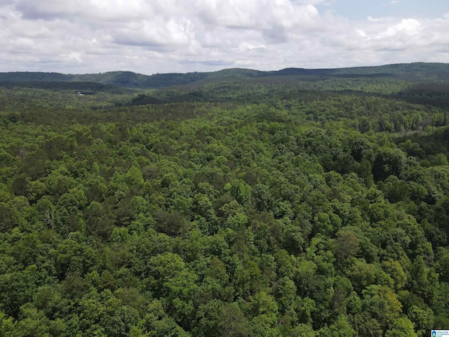 720 Good Hope Delta Rd, Delta, AL 36258 - bird's eye view of a forest and a mountainous background